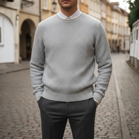 Men's Regular Fit Crew Neck Sweater