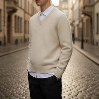 Men's Solid V-Neck Sweater
